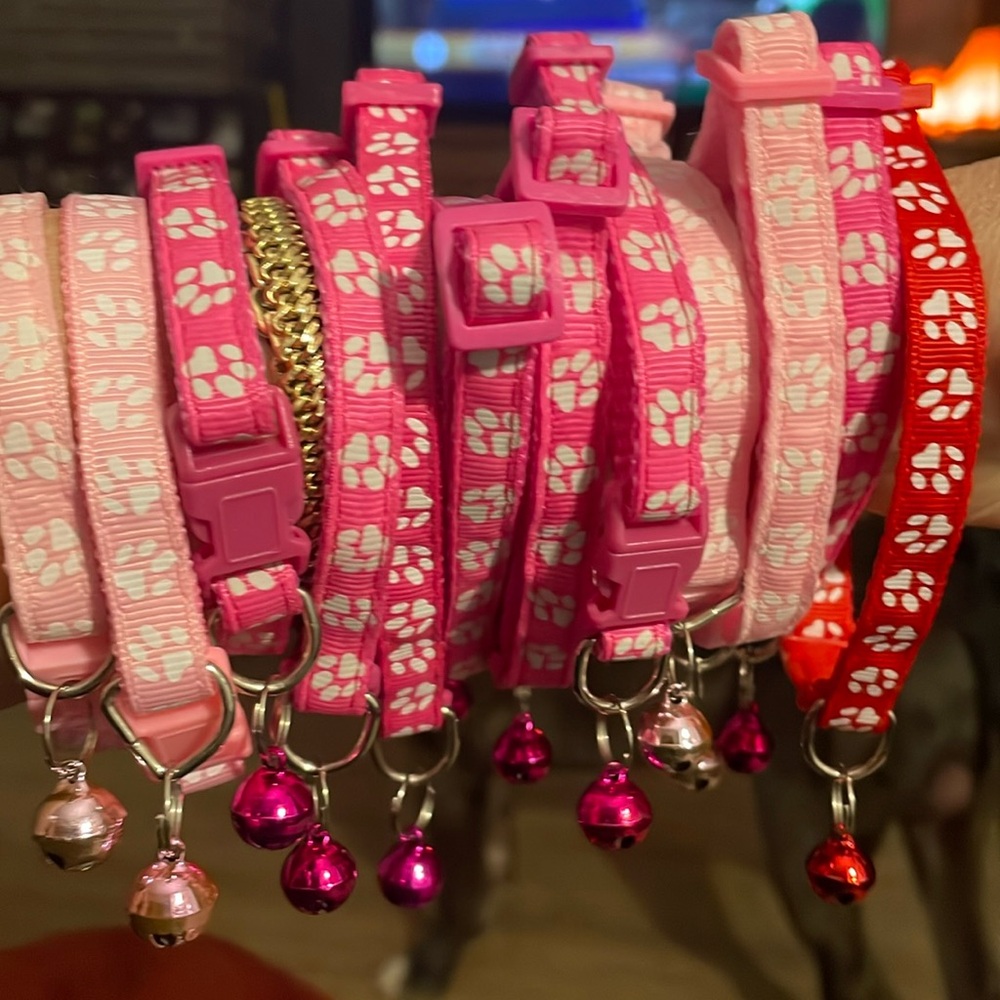 Pick 2 Collars 😻🐶🐾
